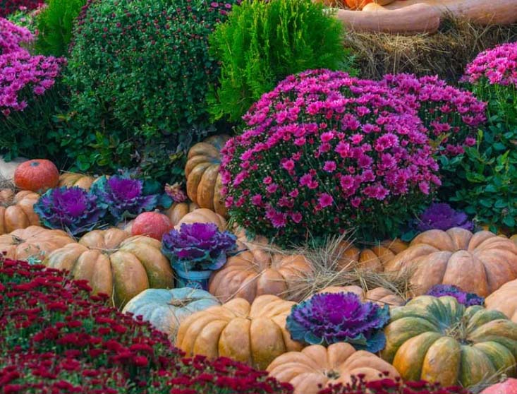 Jesenná záhrada – inšpirácie