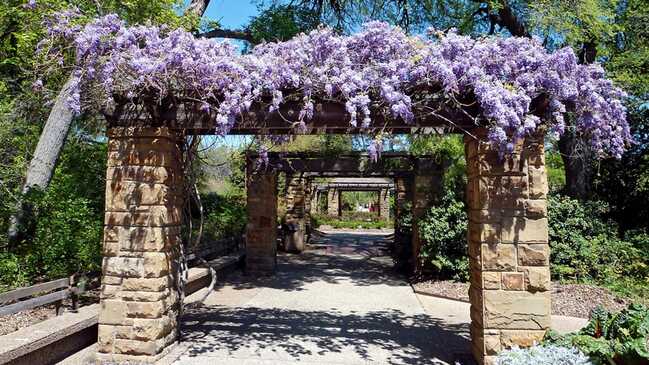 visteria 02